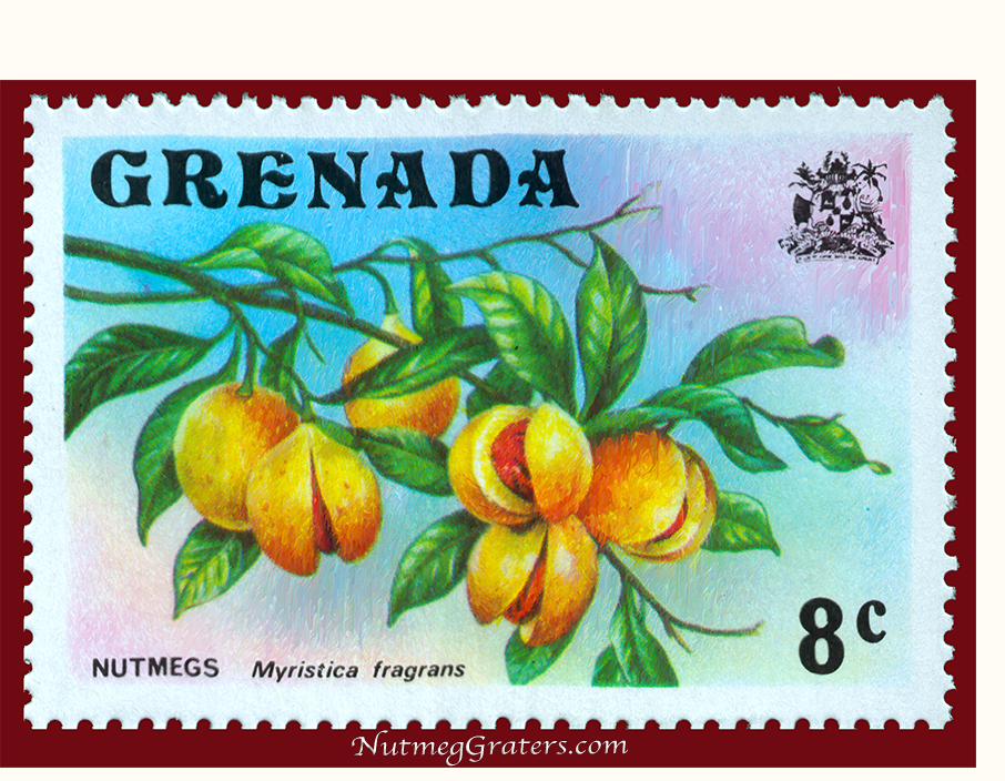 Nutmeg Stamp of 1975 Grenada 