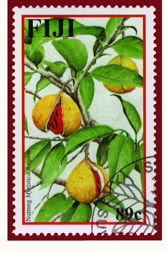 2002 Fiji Stamp of Nutmeg Myristica fragrans