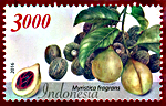 Myristica Fragrans Indonesia